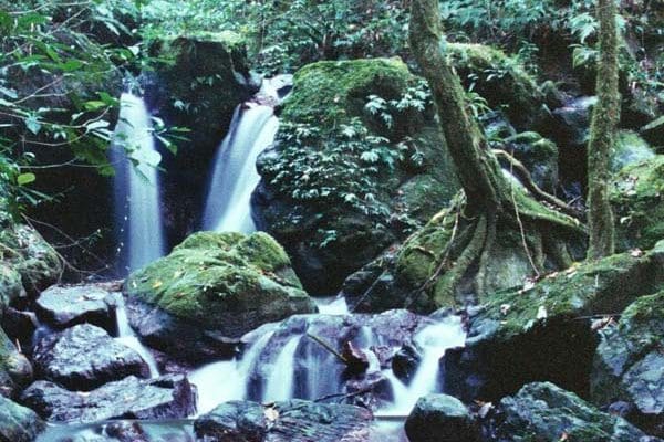 The forest retains water, providing a steady supply and protection from flooding after rainstorms ©  I. Frank