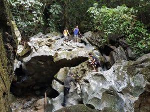 Ascension to Sibaliw Research Tropical Station