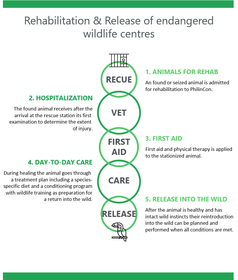 Philincon rehab and relese wildlife animals tropics nature conservation, found or seized animal admitted, injury determination, first aid, healing process, reintroduction into wild